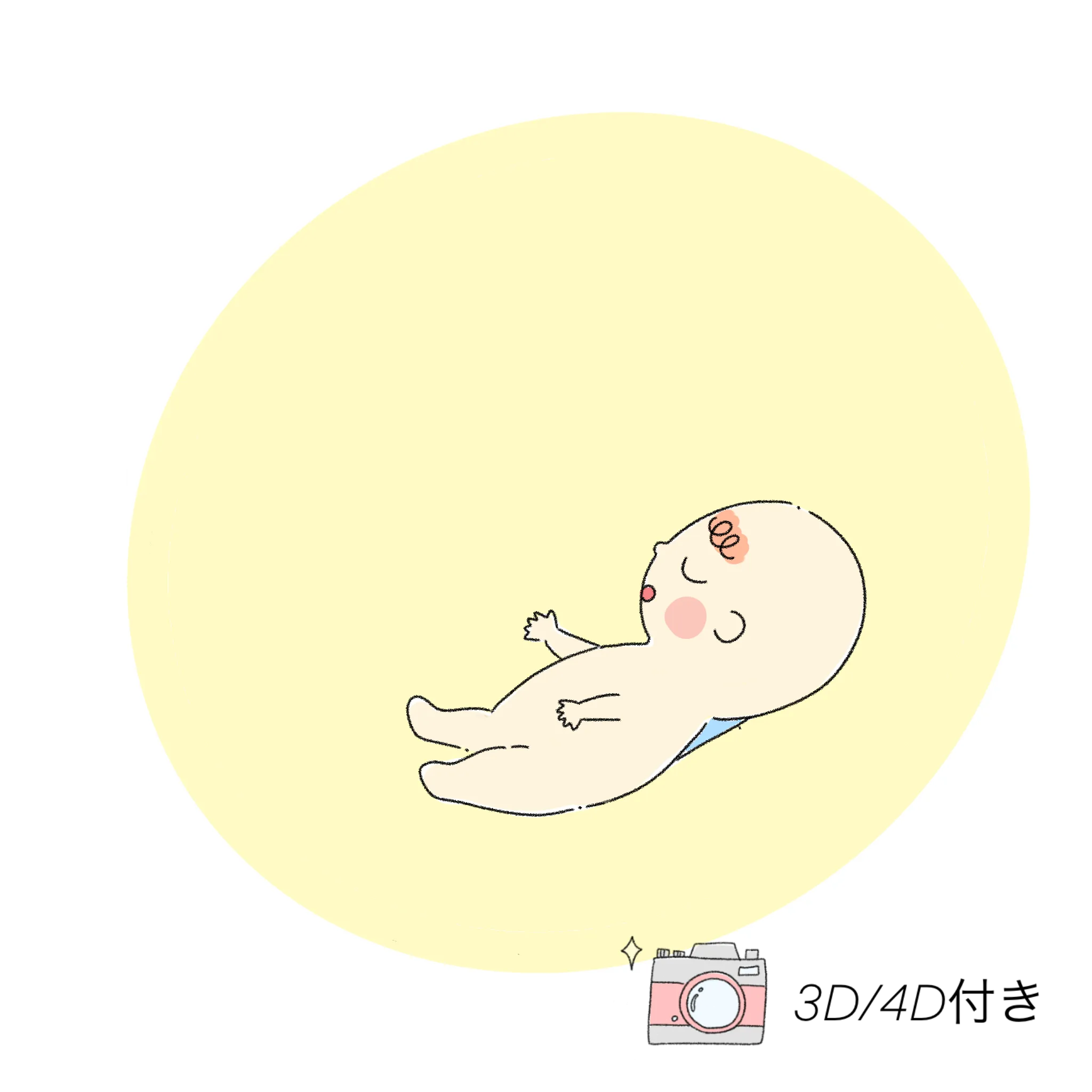 イメージ:初期胎児精密検査