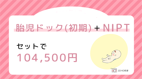 胎児ドック(初期)+NIPT セットで104,500円