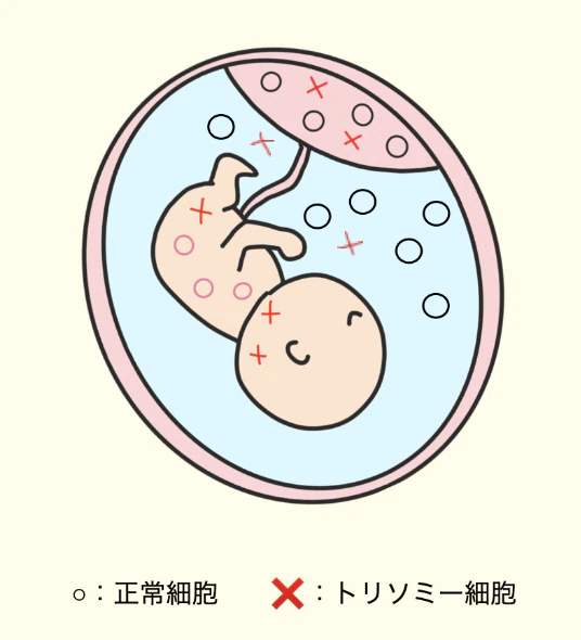 細胞の低頻度モザイクイメージ