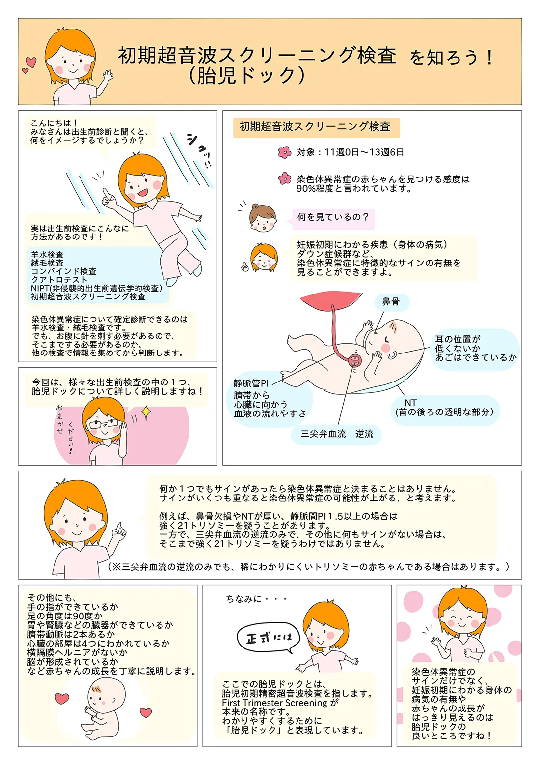 まんが:初期超音波スクリーニング検査を知ろう!(胎児ドック)