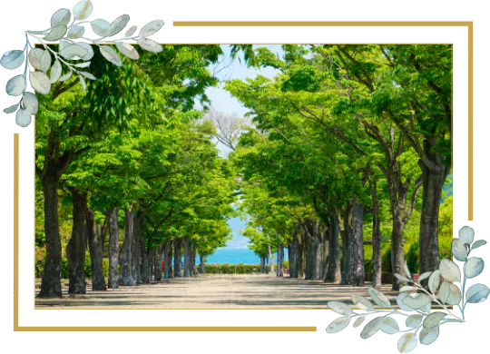 公園イメージ