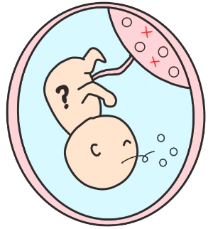 胎盤モザイクイメージ
